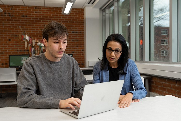 Brockport Brightspace Online and Hybrid Learning