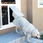Dog Door for Sliding Glass Door The Ultimate Pet-Friendly Solution