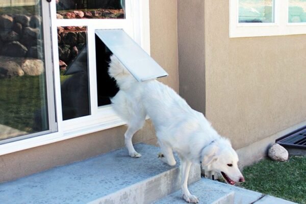 Dog Door for Sliding Glass Door The Ultimate Pet-Friendly Solution