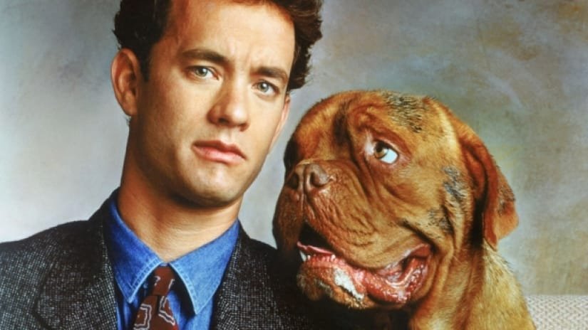 Dogs and Heroes Don’t Dress Up Chapter 4 A Gripping Turn
