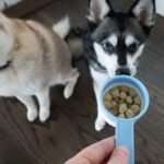 UnKibble Dog Food Review 2025