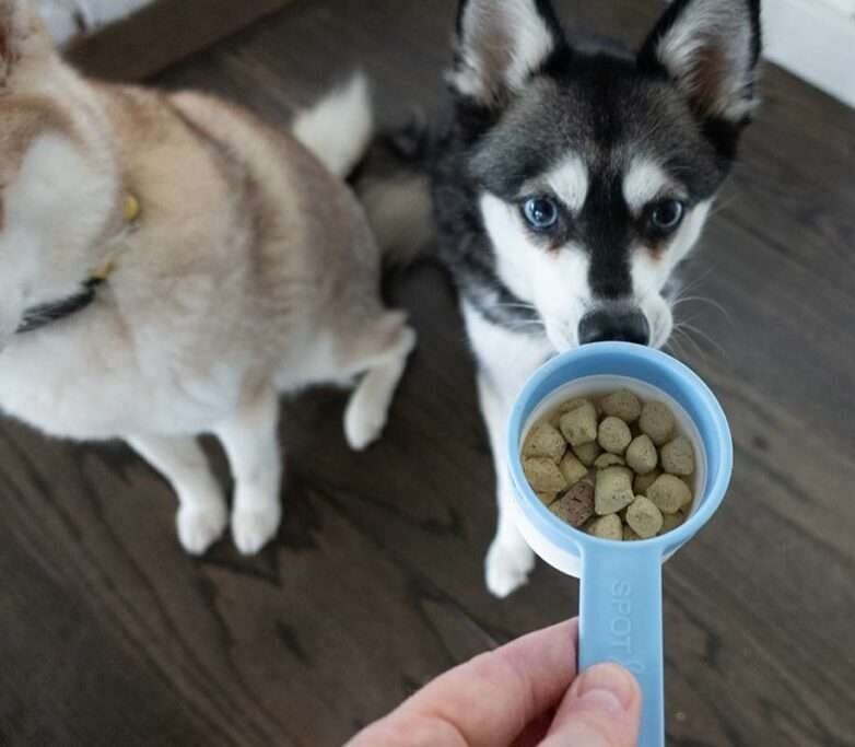 UnKibble Dog Food Review 2025