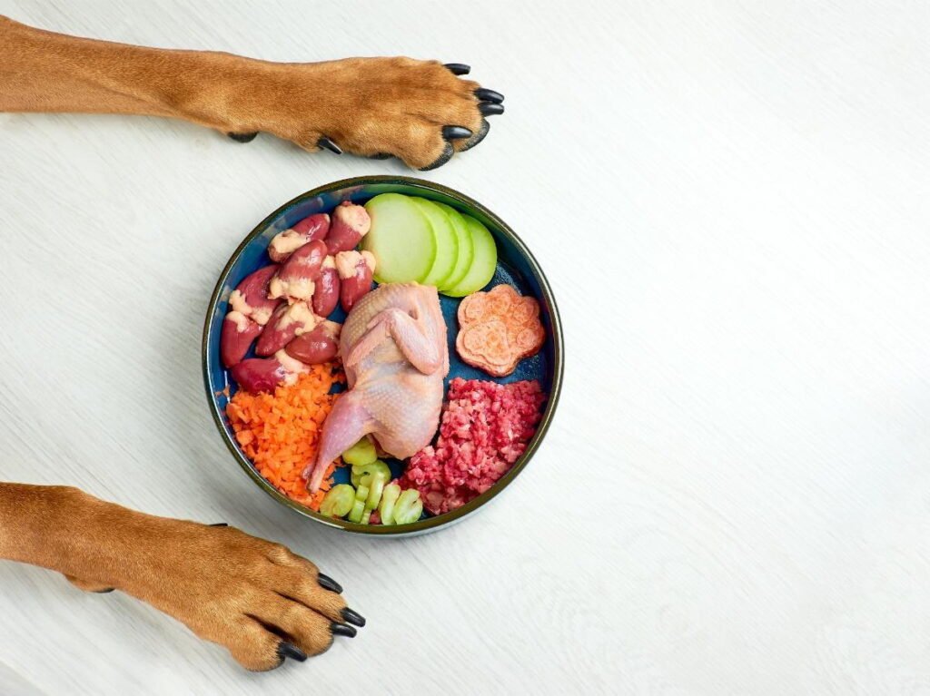 WSAVA Approved Dog Food 2025 The Ultimate Guide