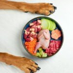 WSAVA Approved Dog Food 2025 The Ultimate Guide
