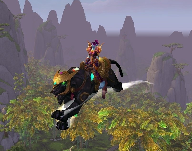 Everything You Need to Know About the Wow head