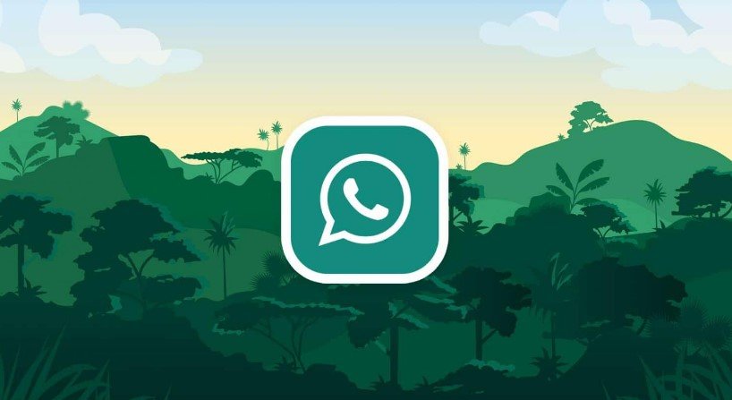 General Insights: Navigate GBWhatsApp
