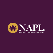 NAPL Company Shaping the Future Through Innovation